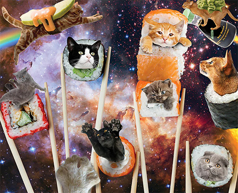 2025 Space Cats Calendar
